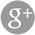 Google+